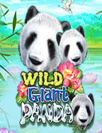 เกมส์ แคน ดี้ ออนไลน์ ทดลอง เล่น เกม ยิง ปลา pg